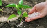 Производство органо-минеральных удобрений